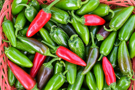🌶 Why Jalapeño Peppers Are So Popular