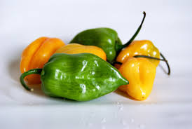 Sweet Meets Heat: The Habanero Difference