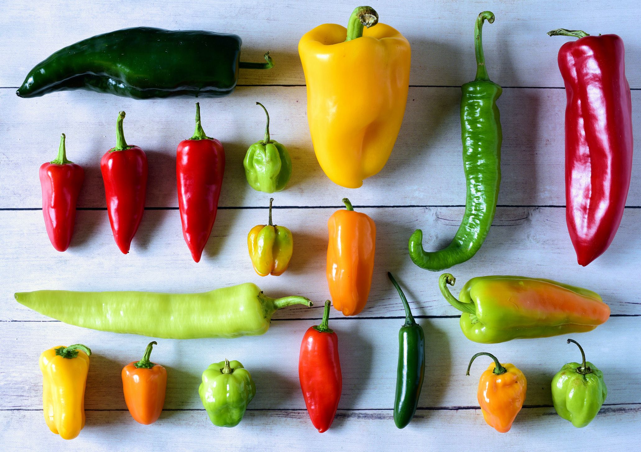 How to Handle the Heat: Safe Practices When Eating Spicy Peppers ๐ถ๐ฅ ...