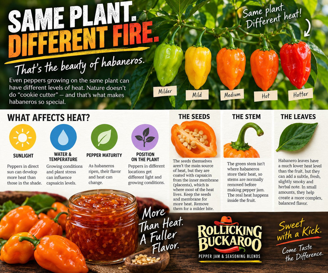 Same Plant, Different Fire: Why Habanero Peppers Don’t All Have the Same Heat